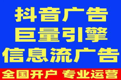 百度竞价排名机制：成功案例与策略探讨